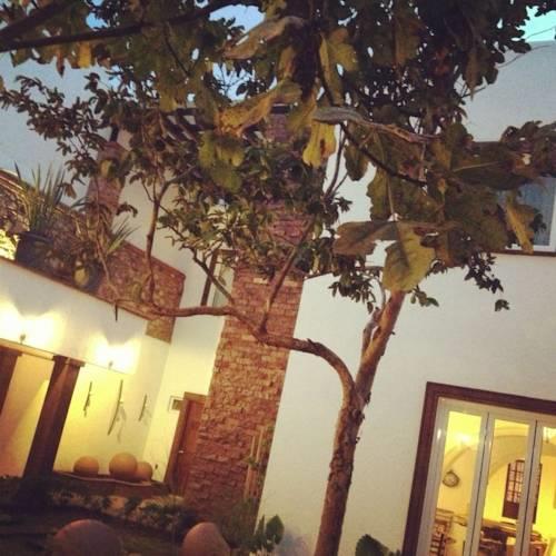 Отель Hotel Quinta Allende