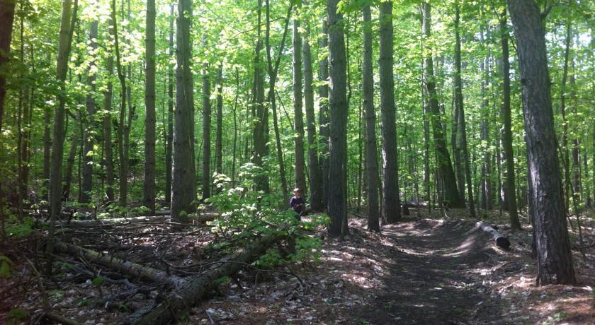 Апартаменты Blue Mountain Suites