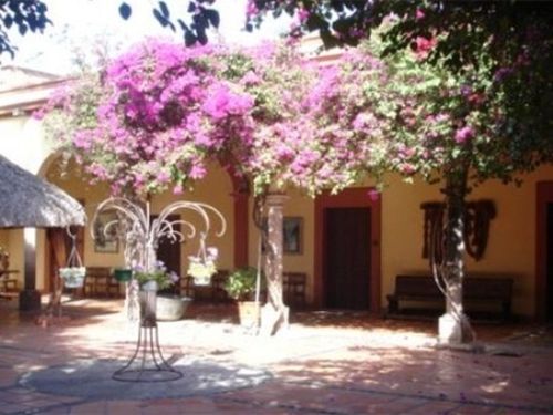 Отель Posada Del Hidalgo Hotel