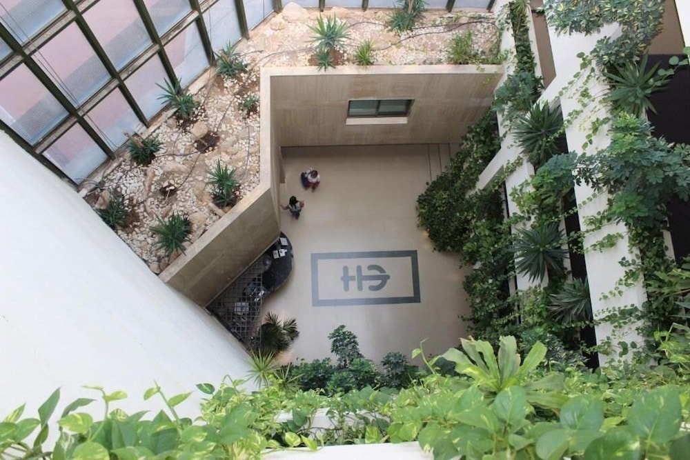 Отель Ejido Hotel