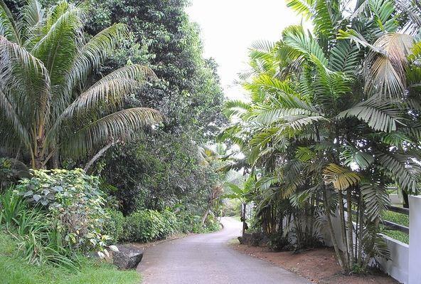 Kokogrove Chalets