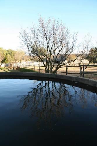 Отель Alba Guest Farm