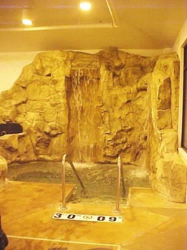 Отель Holiday Inn Hotel & Suites OWATONNA