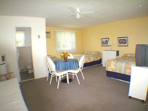Отель Motel Central