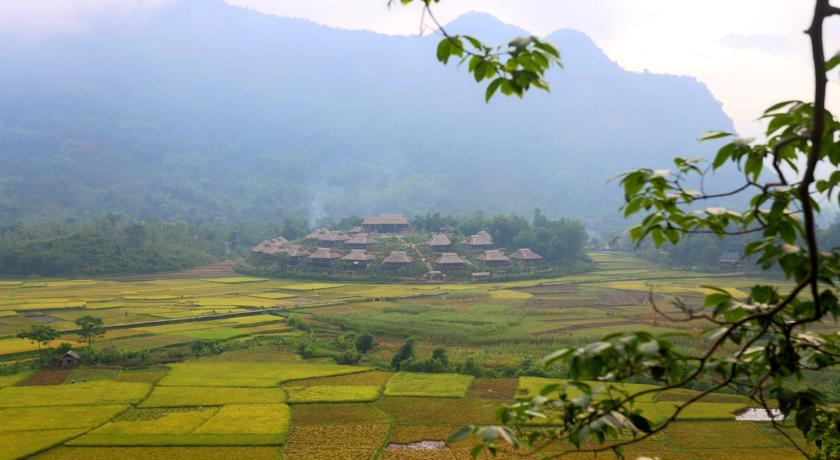 Отель Mai Chau Ecolodge