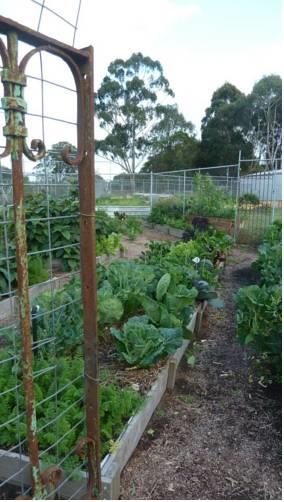 Отель Burnside Organic Farm