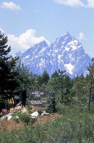 Отель Jackson Lake Lodge