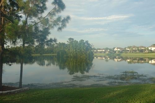 Lake Berkley Disney Town Homes