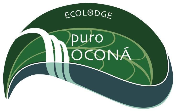 Отель EcoLodge Puro Mocona