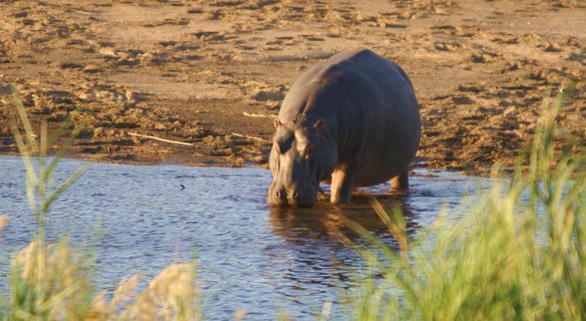 Апартаменты Kruger River Self-Catering