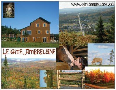 Мини-отель Le Gîte Ambrelane