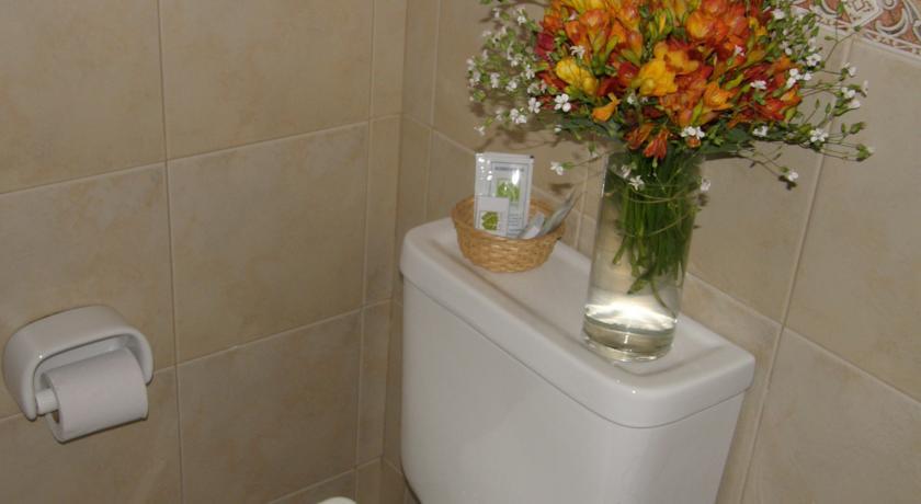 Отель Hotel Los Tilos