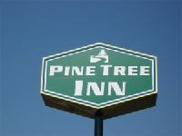 Отель Pinetree Inn