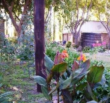 Отель Taymenta Hotel de Campo