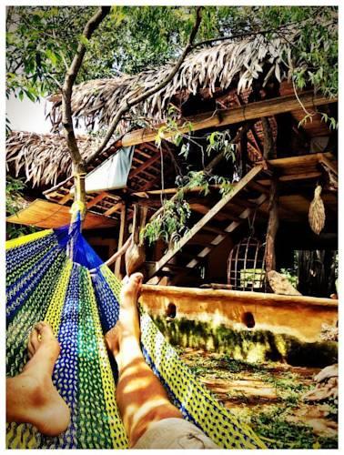 Отель Banyan Camp
