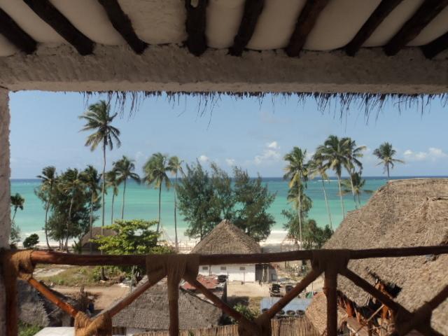 Отель Baby Bush Lodge