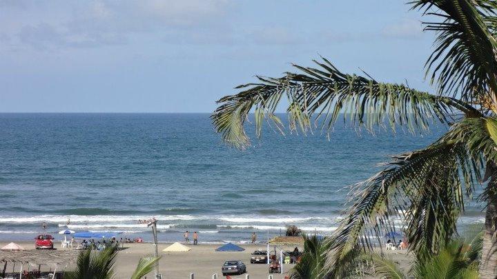 Отель Hotel y Bungalows Monteverde