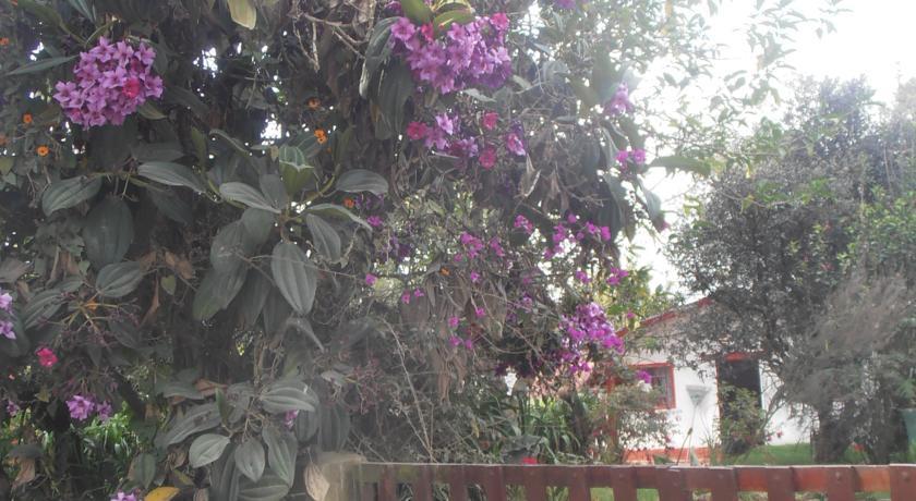 Отель Finca La Union Cerca a Bogota