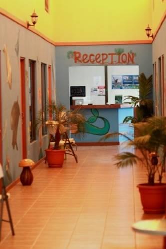Гостевой дом Hotel Paso de Ballenas