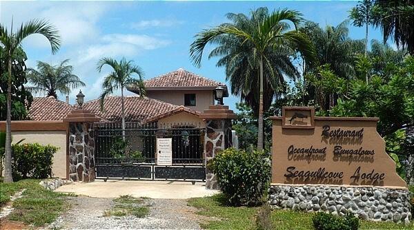 Мини-отель Seagullcove Lodge