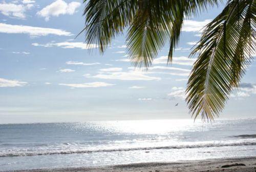 Гостевой дом Fenix Hotel - On the Beach