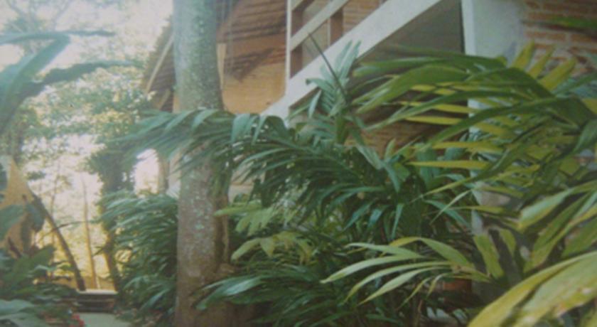 Апартаменты Vila Flor Camburizinho Flats