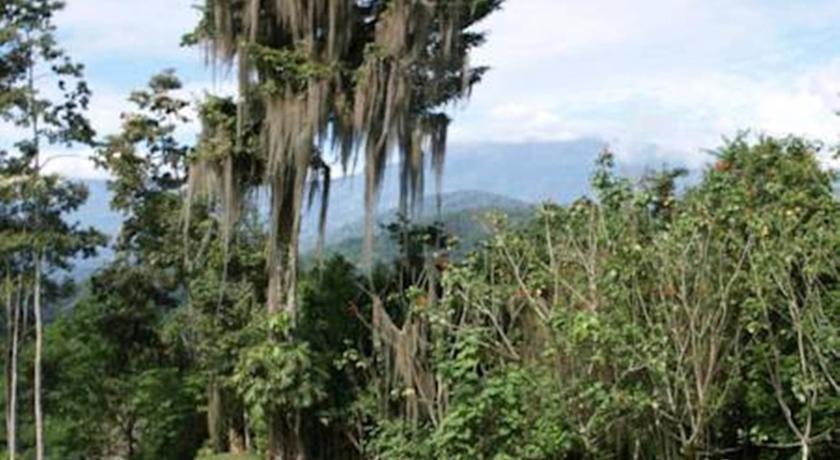 Отель Finca Monte Claro