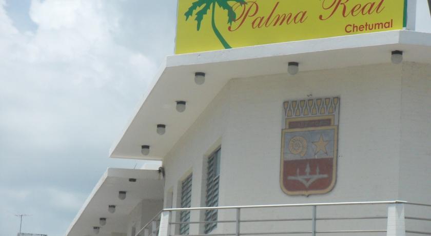 Отель Hotel Palma Real