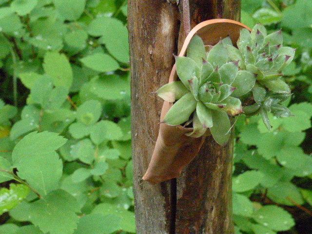 Мини-отель Pass Creek Bed and Breakfast