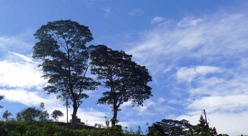 Misty Hills Bungalow - Kandy