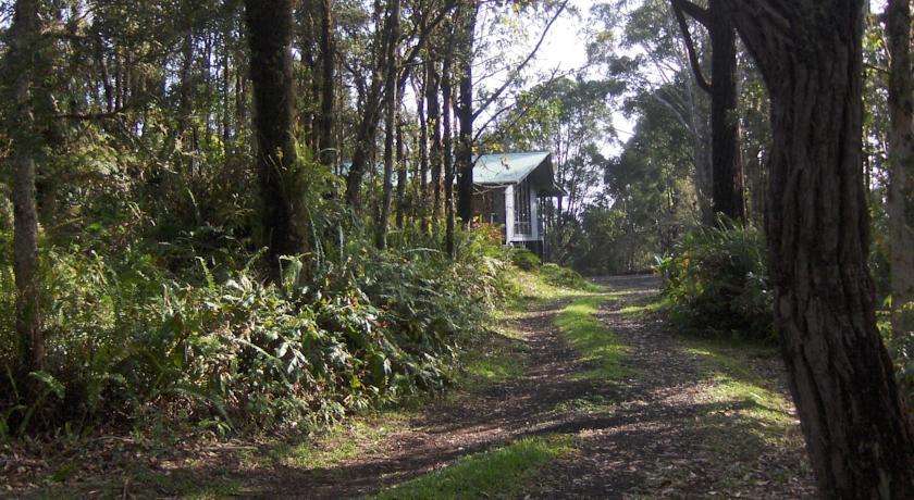 Апартаменты Secluded Rainforest Retreat