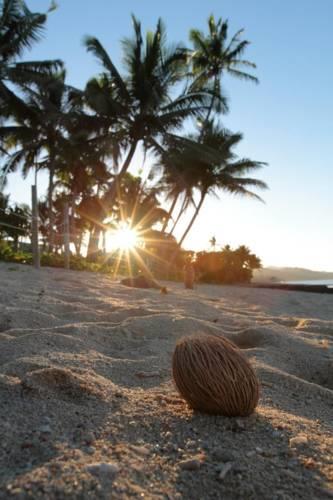 Вилла Maui Palms