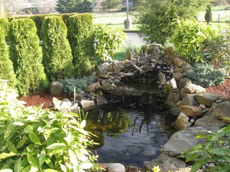 Отель La Quinta Inn Wilsonville