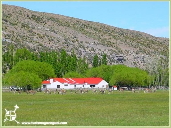 Отель Estancia Don Jose- GuenGuel