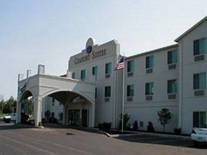 Отель Comfort Suites Benton Harbor