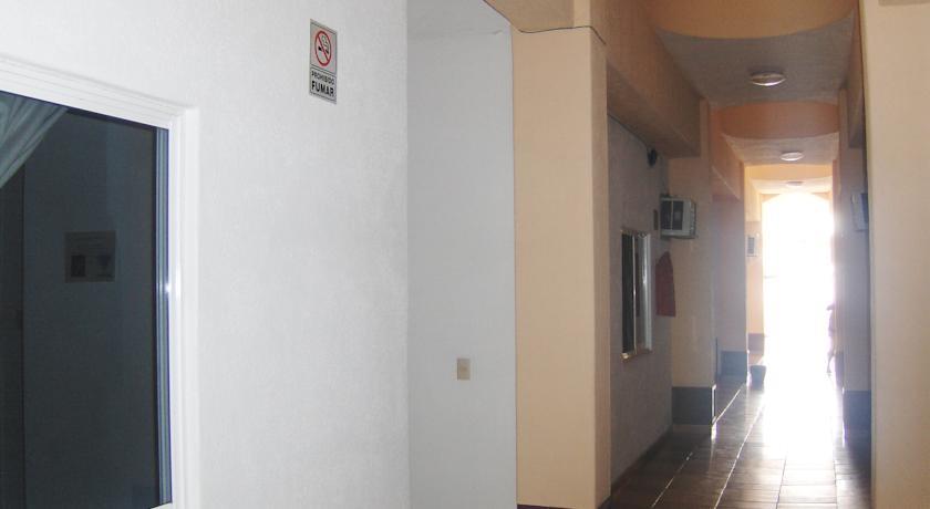 Отель Hotel Albatros