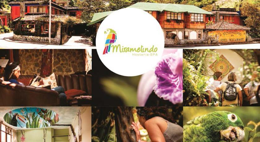 Отель Spa Hosteria Miramelindo