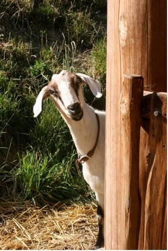 Отель The Harbour House Hotel, Restaurant & Organic Farm