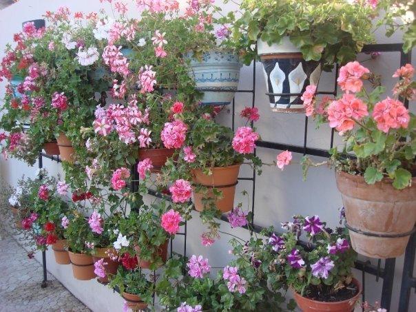 Хостел Yiliana Hostel