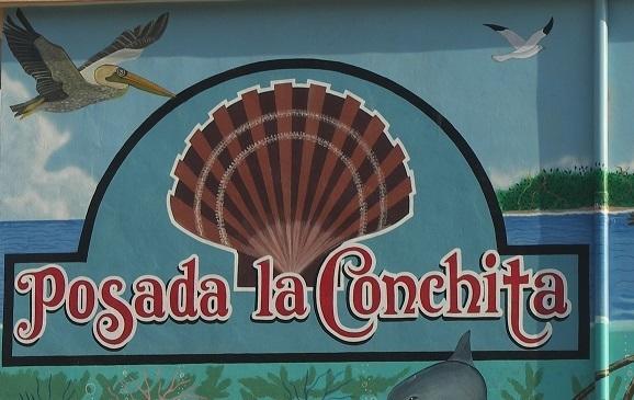 Отель Posada La Conchita