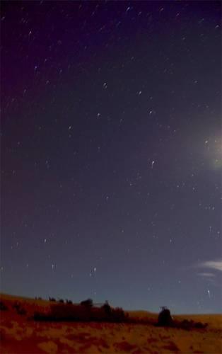 Desert Magic Experience