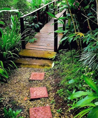 Мини-отель El Mariposario Montezuma Gardens