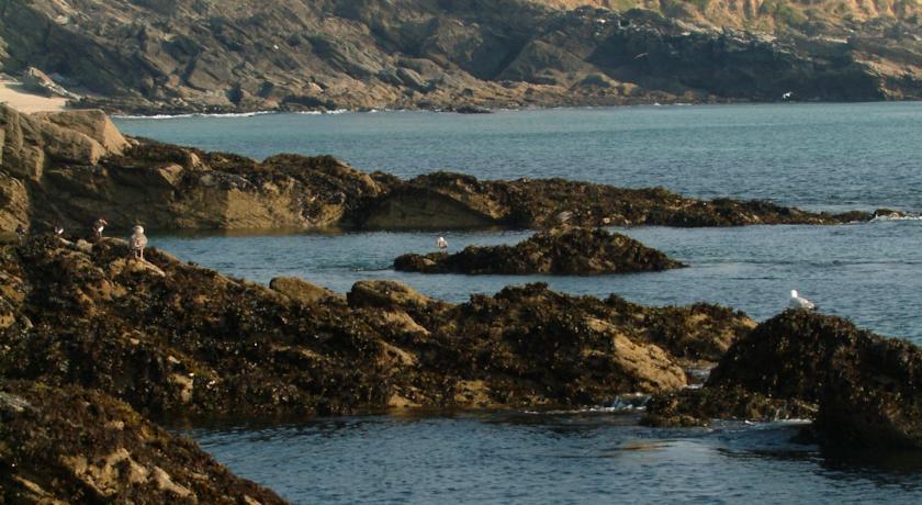 Отель The Headland Hotel 