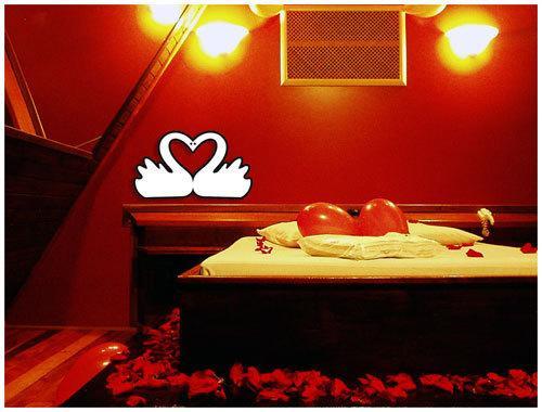 Отель Motel Cisne Blumenau (Adult Only)