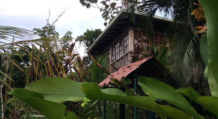 Отель Flor de Paraiso Bungalows