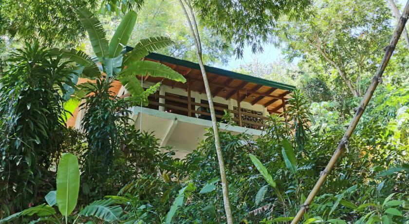 Апартаменты Kiskadee Casa