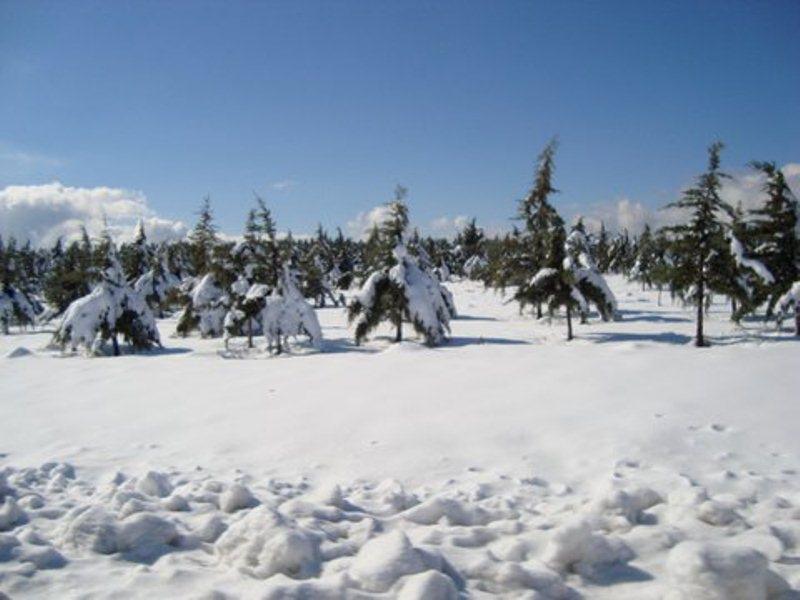 Отель Le Vallon Vert - Club Equestre