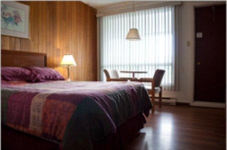 Отель Motel Manic 2000
