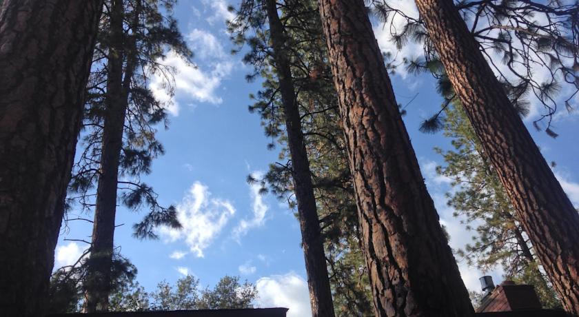 Апартаменты Yosemite's Anglers Rest