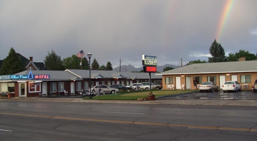 Отель Blue Pine Motel